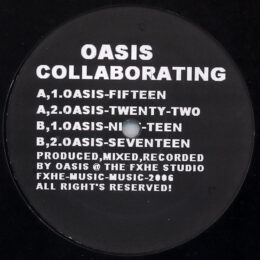 Oasis Collaborating #2